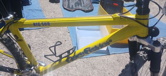 Mountain Bike $100