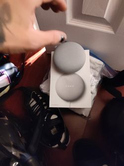 Nest Mini Speaker