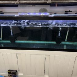 2 Fish Tank For Sale