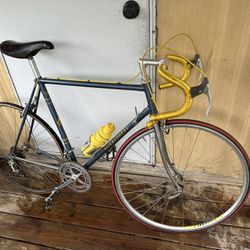 Guerciotti Road Bicycle