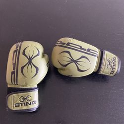 Sting Boxing Gloves  Junior