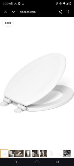 Toilet bowl seat