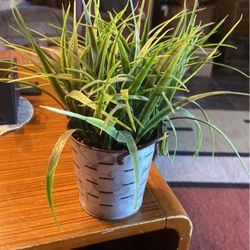 Used Artificial Plant In Galvanized Can 10”x3” 