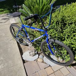 Diamond Back Mountain Bike 1990's 