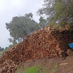 Firewood