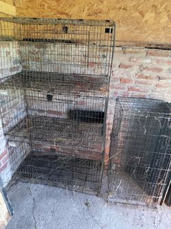 4 Rabbit Cages W/ Feeders And Water Bottles 