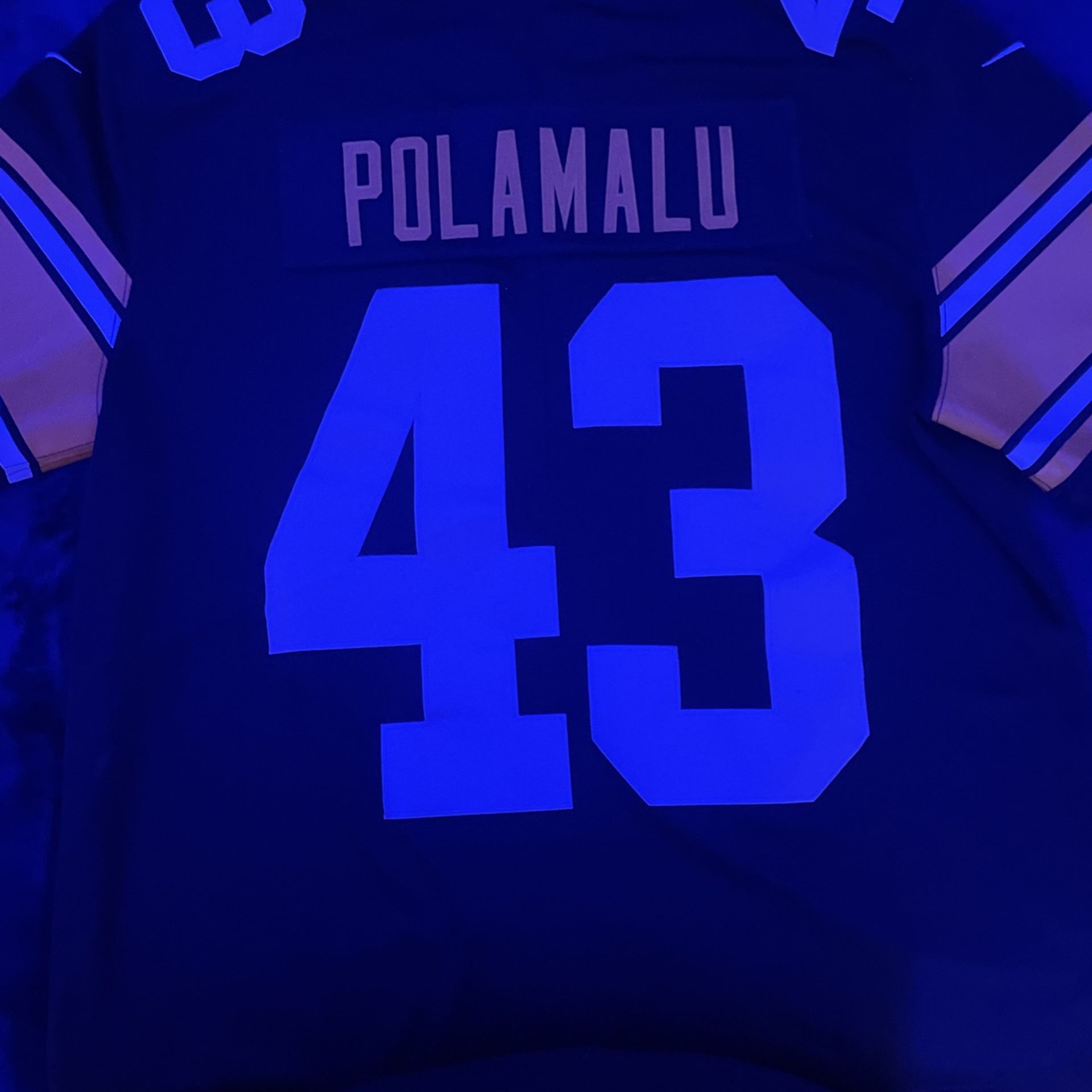 NFL Polamalu Jersey 