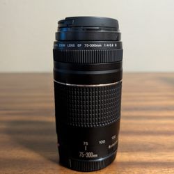 Canon EF 75-300mm f/4-5.6 III Telephoto Lens