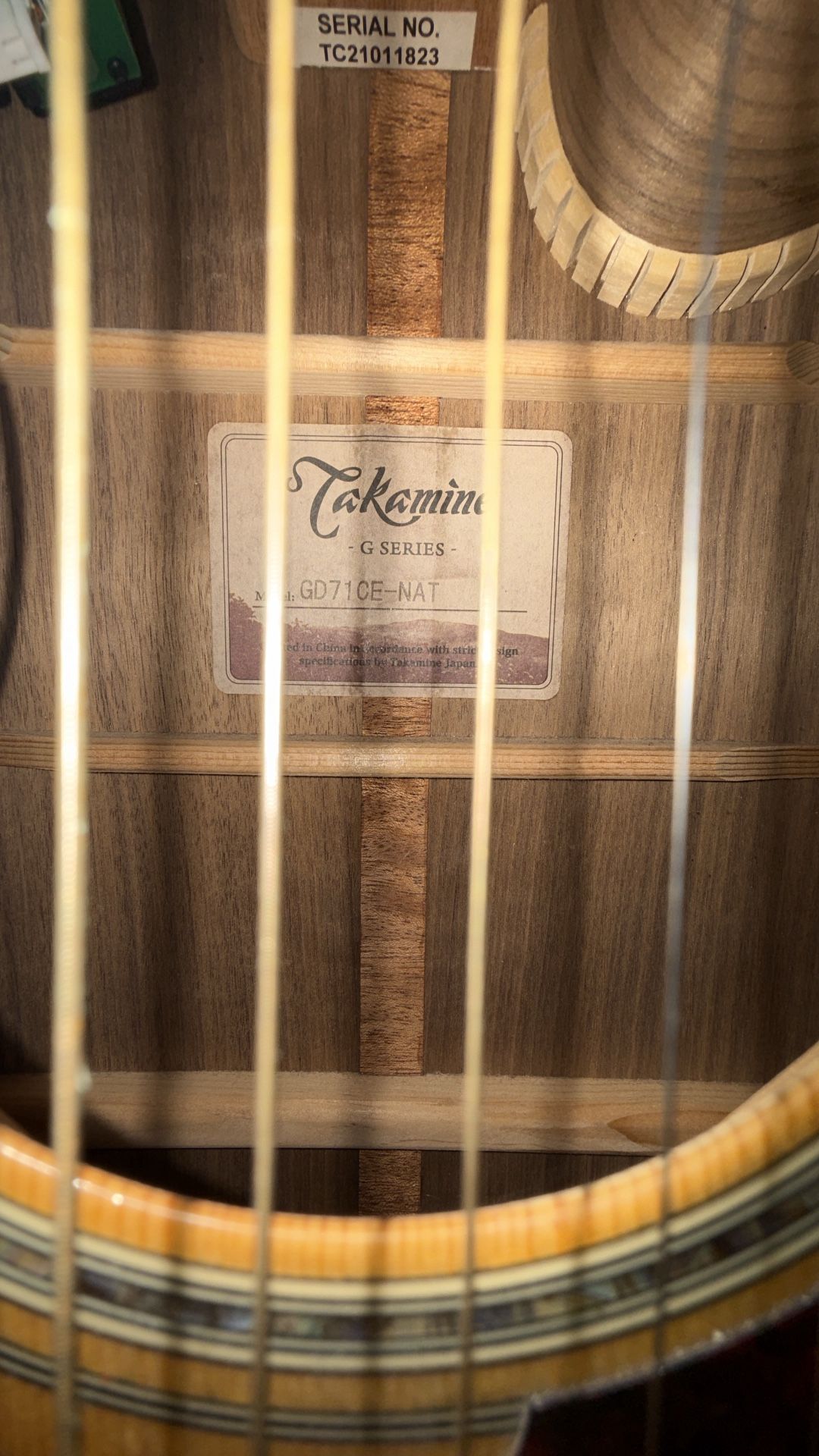 6 String Takamine