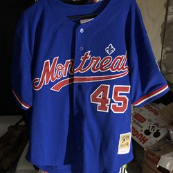 Men's Montreal Expos Pedro Martinez Mitchell & Ness Blue Cooperstown Collection Mesh Batting Practice Button-Up Jersey