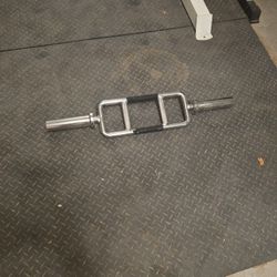 Curl / Triceps Bar