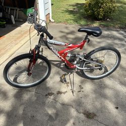 Adult Bicycle