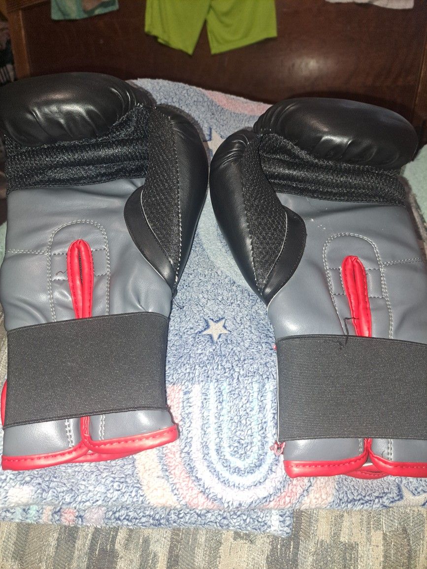 Everlast Boxing Gloves