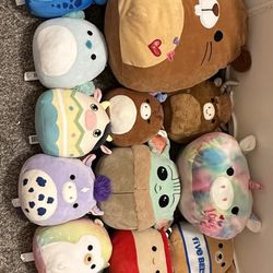 ‘ Squishmallows ‘