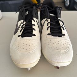 Metal Bottom Tip Cleats