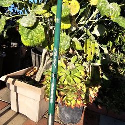 Shimano Terez 7ft 30-65lb braided 