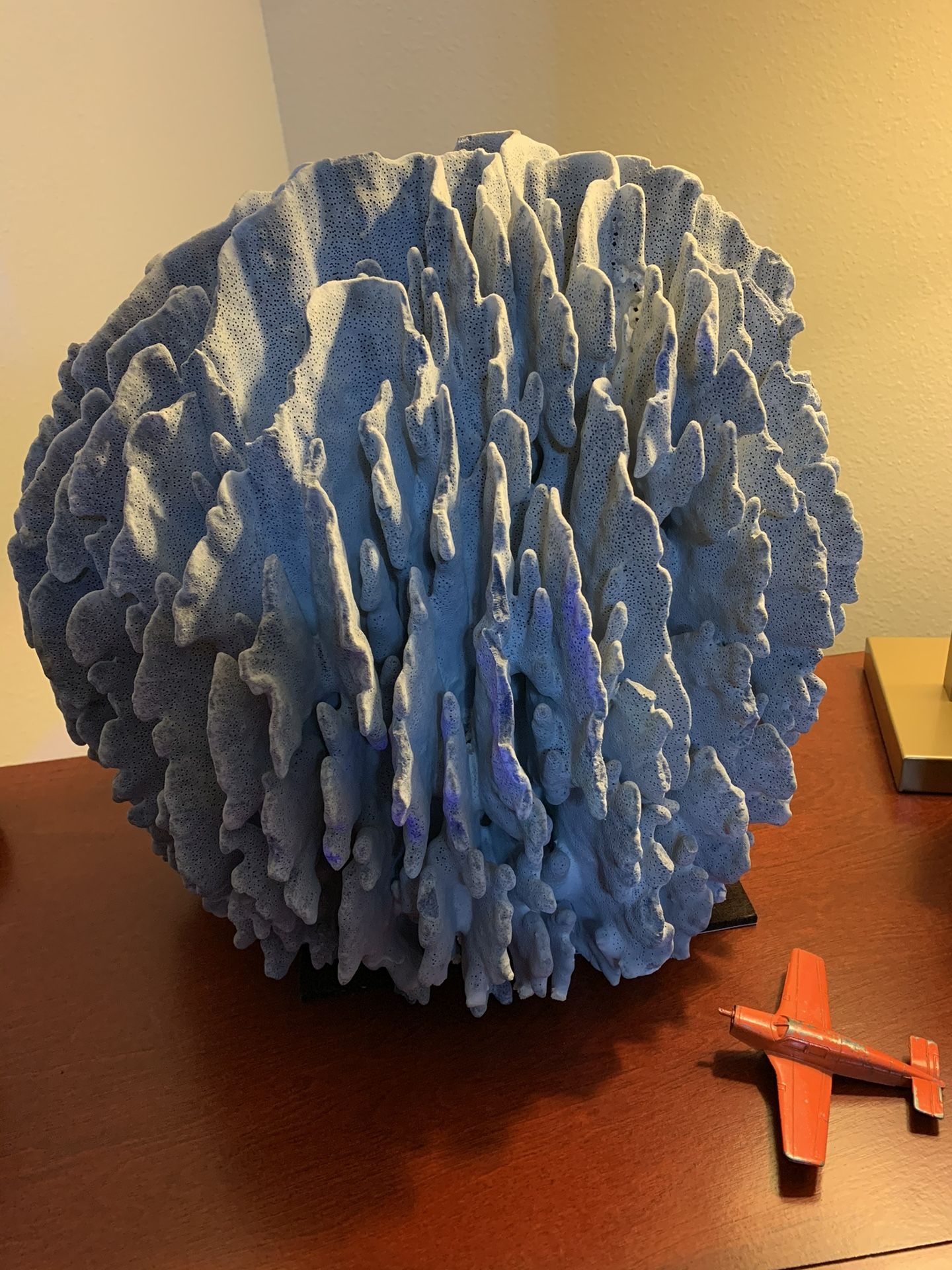 1960’s Blue Coral Skeleton W. Pacific Indian Ocean