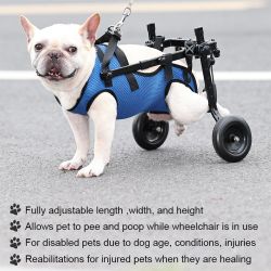 Dog Wheelchair for Back Legs, Adjustable Support for Small Dogs (M)  #340111 UP2