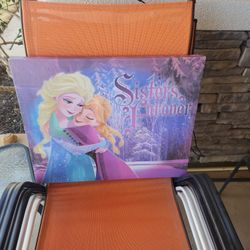 Frozen Cloth Picture