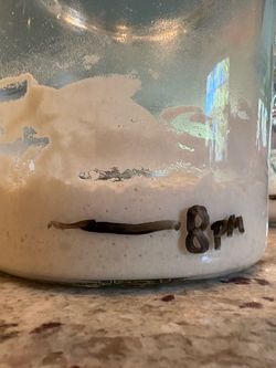 100 year old Alaskan Sourdough Starter