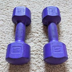 Pair of 5-pound vinyl coated dumbbells 5 LB workout weights home gym dumb bells with non slip grip