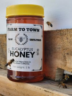 Eucalyptus Honey