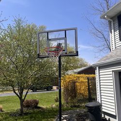 Lifetime Basketball Hoop