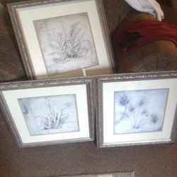 Wall Pictures 
