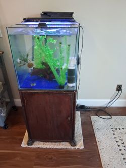 36gallon Cube Aquarium complete with all accessories