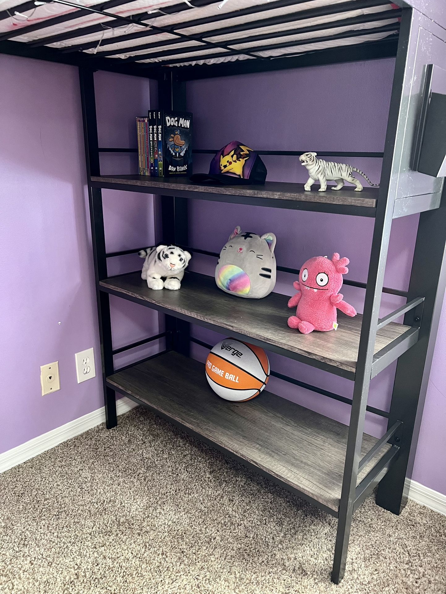 Twin Sized Loft Bed With Desk & Bookshelves