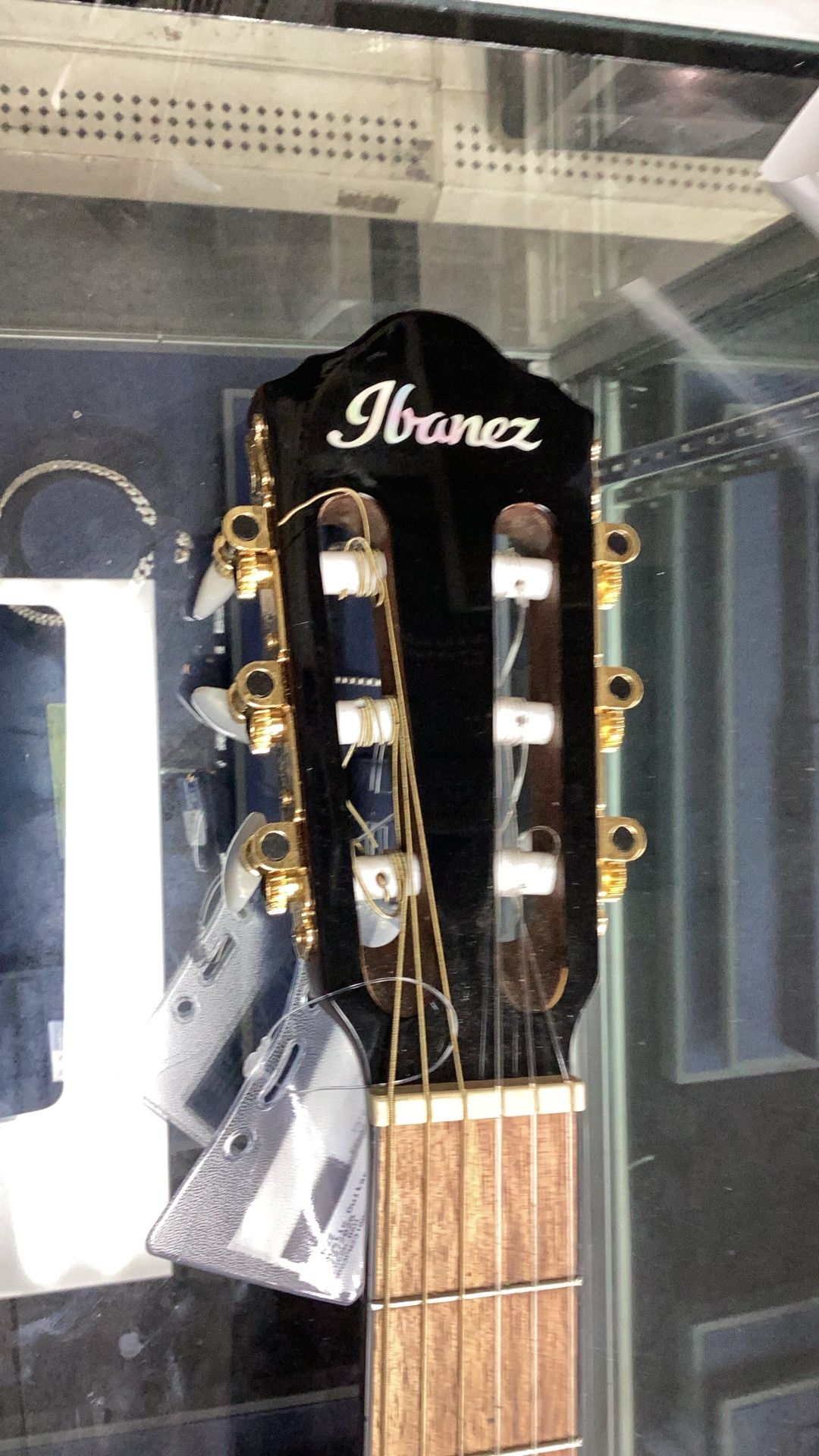 Ibanez Acoustic Guitar 