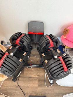 Bowflex dumbbell and fly bird chair