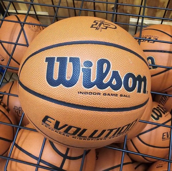 Wilson Evolution Basketball