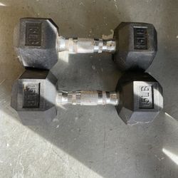 2 15 Lb Weights 