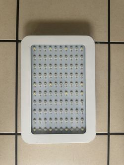 1100W UV Light
