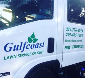 Vinyl Lettering and Vehicle Wrap