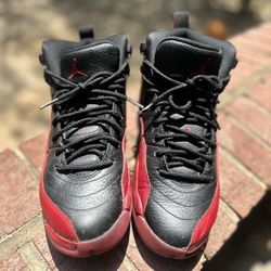 Jordan 12 Flu Games