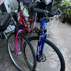 Two Bikes For Sale