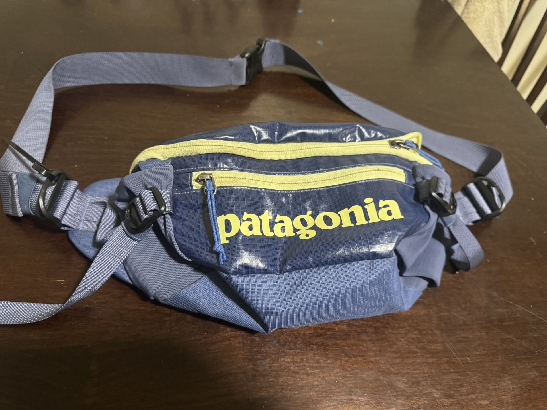 Pantagonia Waist Bag/ Fanny Pack