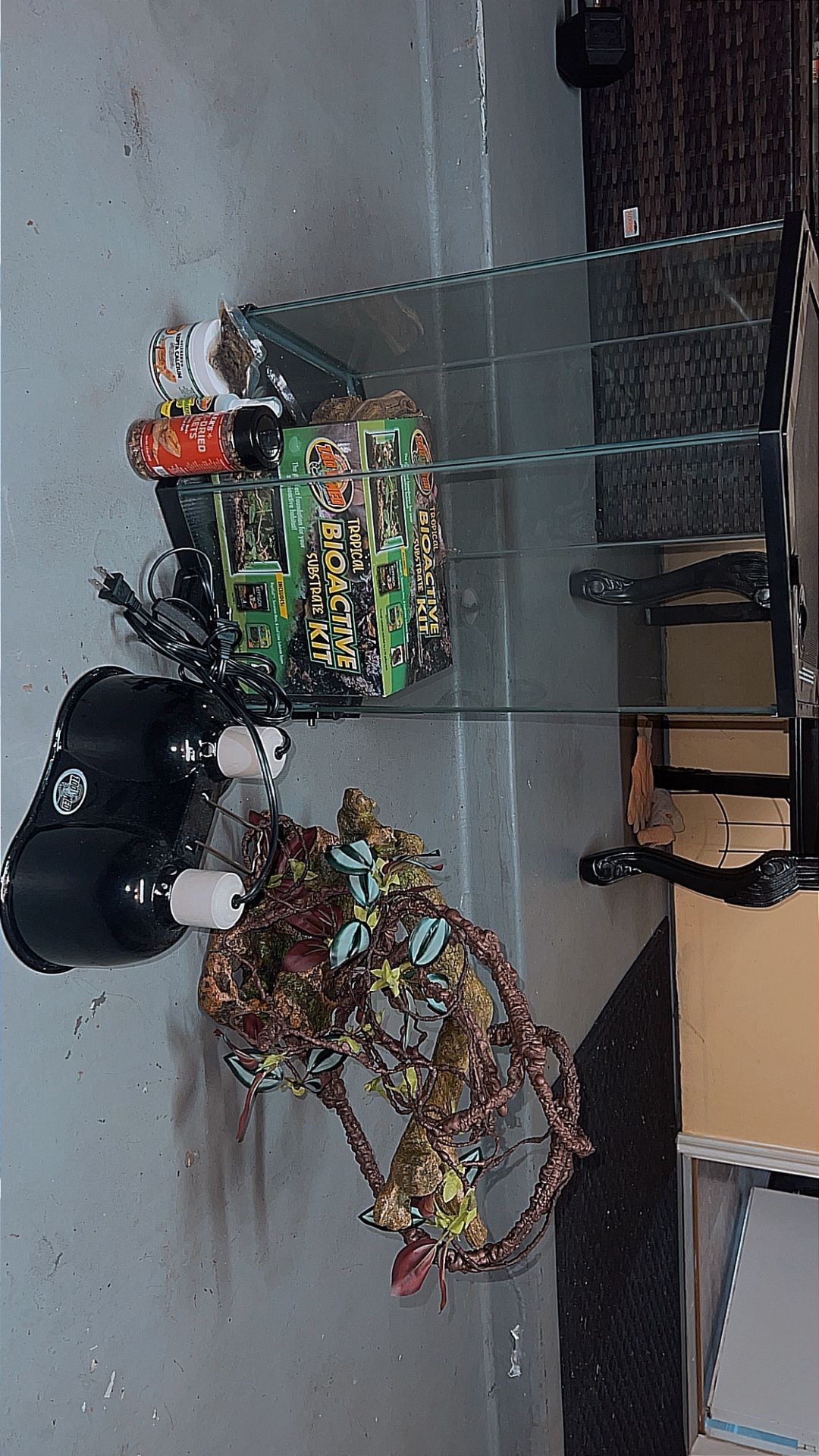 Lizard Big House Enclosure