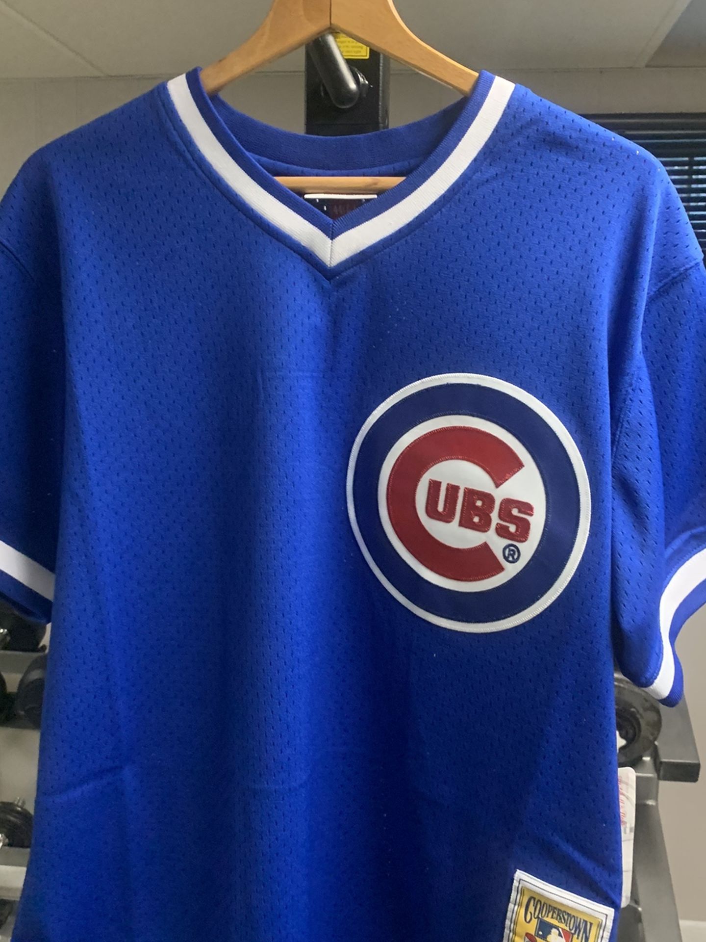 Ryne Sand berg Mitchell & Ness Jersey - L