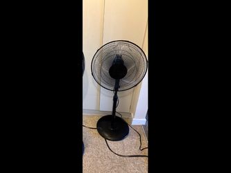 Fan