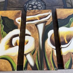 Mexican Alcatraz Picture 