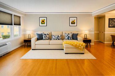 Sectional sleeper  Sofa with Chaise and storage