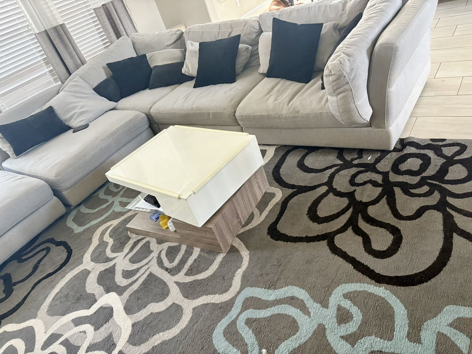 Sectional + Cushions + Table
