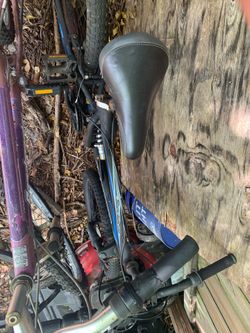 2 bicycles NEED GONE