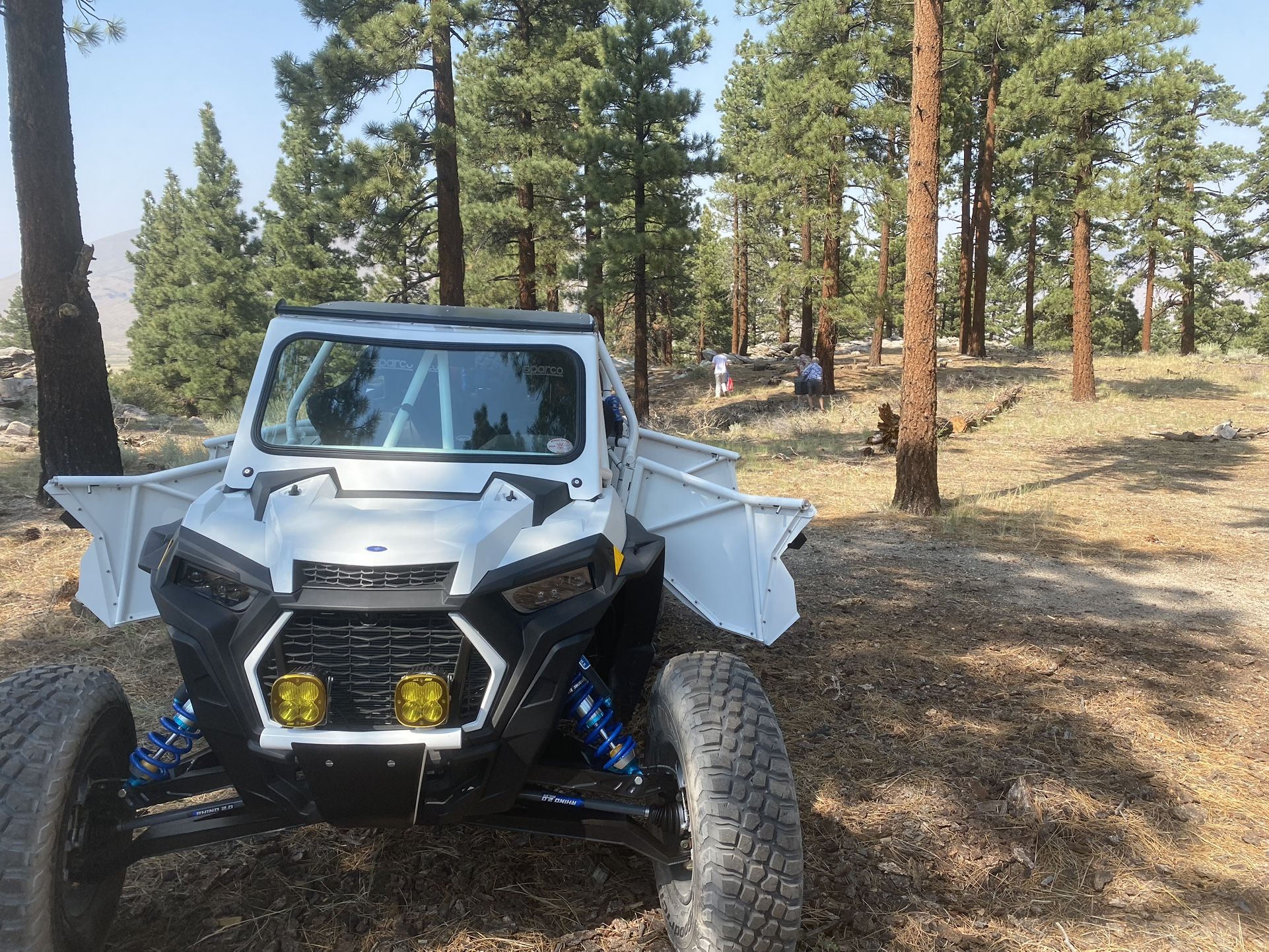Custom Rzr