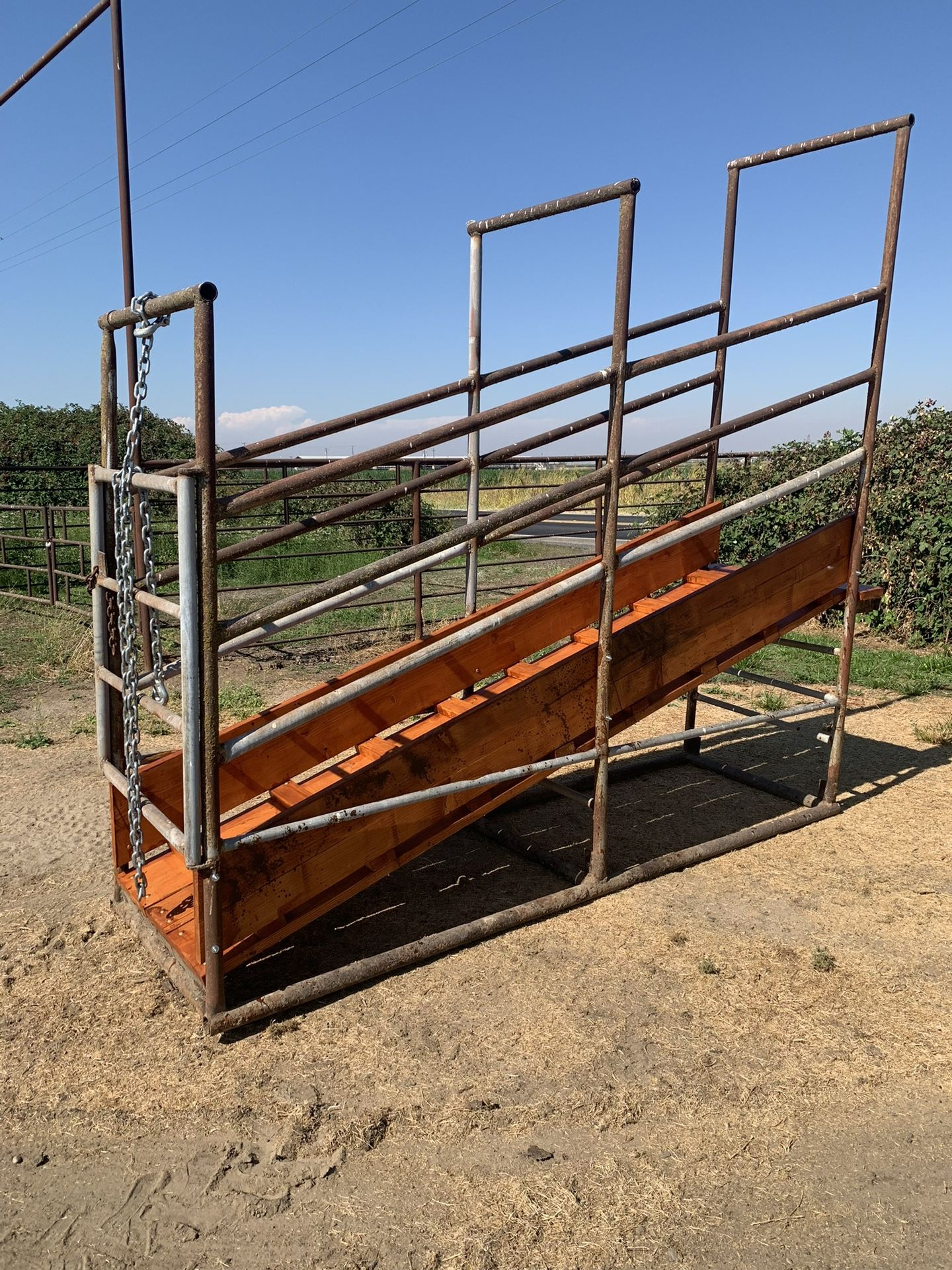 Cattle loading chute