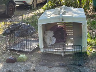 Two dog kennels and mocha wall art