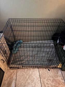 Free dog kennel